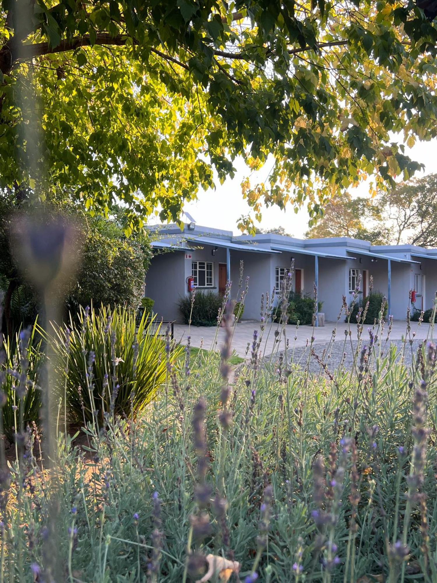 Patterson B&B 뉴캐슬 외부 사진